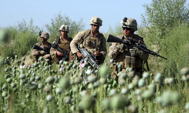 us-troops-opium-field-afghanistan