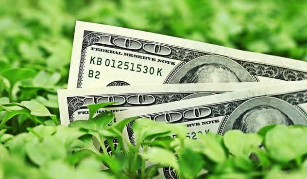 green_bonds_846x492-632x368